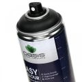 Floristik24 OASIS® Easy Color Spray, dažų purškiklis juodas 400ml
