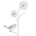 Floristik24 Gėlių kamštis metalinis deco allium paukštis baltas 20×52cm