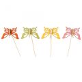 Floristik24 Gėlių kamštis drugelis deko medienos spalvos 8,5cm 12vnt
