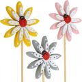 Floristik24 Deco kamščių gėlės su ladybugs pavasario puošmena mediena Ø5cm 18v