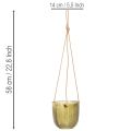 Stiklinis gėlių vazonas / pakabinamas žibintas, violetinis / žalias, 14 cm, 2 vnt. | Floristik24.lt