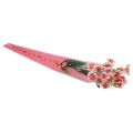 Floristik24 Gėlių maišelis su širdelėmis rožinė Rožė 50cm 50vnt