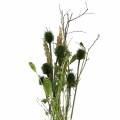 Floristik24 Laukinių gėlių puokštė natūrali, žalia 25–60cm 70g