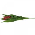 Floristik24 Bromeliad dirbtinė Rožinė Dirbtinė gėlė klijuoti 54cm