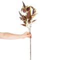 Dirbtinis koleusas su raudonais lapais, dirbtinis augalas, 20 cm | Floristik24.lt