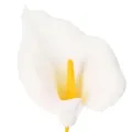 Dirbtinė kalija su geltonais kuokeliais, dekoratyviniais žiedais, 35 cm, 10 vnt. | Floristik24.lt