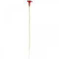 Floristik24 Calla red bordo dirbtinės gėlės kekėje 57cm 12vnt