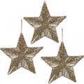 Floristik24 Kalėdų eglutės papuošimai, Advento papuošimai, žvaigždžių pakabukas Golden B20.5cm 6vnt