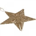 Floristik24 Kalėdų eglutės papuošimai, Advento papuošimai, žvaigždžių pakabukas Golden B20.5cm 6vnt