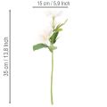 Dirbtinių kalėdinių rožių puokštė, 35 cm, 6 vnt. | Floristik24.lt