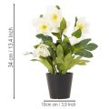 Dirbtinė kalėdinė rožė, vazoninis augalas, stalo dekoracija, 34 cm | Floristik24.lt