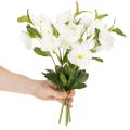 Kalėdinė rožė, dirbtinė gėlė, balta, dekoratyvinė dirbtinių gėlių puokštė, 40 cm, 4 vnt. | Floristik24.lt