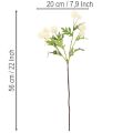 Dirbtinė chrizantema, kreminės baltos spalvos puokštė, dekoratyvinė šakelė, didelė 56 cm, 4 vnt. | Floristik24.lt