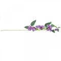 Floristik24 Dirbtinis klematis, šilkinė gėlė, dekoratyvinė šakelė su klemačio žiedais violetinė L84cm