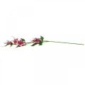 Floristik24 Clematis šakelė su 5 žiedais, dirbtinė gėlė, dekoratyvinė šakelė rožinė, balta L84cm