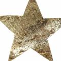 Floristik24 Kokoso žvaigždės auksas 5cm 50vnt rankdarbiams ir Advento vainiko klijavimui