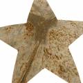 Floristik24 Kokoso žvaigždė natūrali 10cm 20vnt Kalėdų puošmena sidabrinės medinės žvaigždės