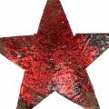 Floristik24 Kokoso žvaigždė raudona 5cm 50vnt kalėdinės dekoracijos dekoratyvinės žvaigždės