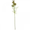 Floristik24 Cosmea papuošalų krepšelis žalios dirbtinės vasarinės gėlės 61cm