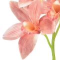 Floristik24 Cymbidium orchid dirbtinė 5 žiedai persikas 65cm