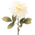 Floristik24 Dirbtinis jurginas vazai 68 cm