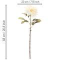 Dirbtinis jurginas vazai 68 cm | Floristik24.lt