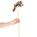 Dirbtinė jurgino gėlė, ilgakotė su dviem žiedais, 75 cm | Floristik24.lt