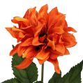 Floristik24 Dahlia Orange 28cm 4vnt
