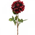 Dirbtinė gėlė jurgina raudona šilkinė gėlė ruduo 78cm Ø3 / 15cm