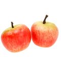 Floristik24 Dekoratyviniai obuoliai Cox 4cm 24vnt