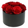 Floristik24 Gėlių dėžutė rožių dėžutė juoda apvali Ø18cm - Ø20cm 2vnt