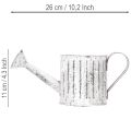 Dekoratyvinė laistytuvė, vazonas, laistytuvas sodinimui Ø10.5cm | Floristik24.lt