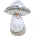 Floristik24 Deco grybų gnome figūrėlė grybo gnome pilka, balta 7×9cm 2vnt