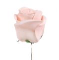 Floristik24 Deco rožių mišinys balta, rožinė, kreminė Ø7,5cm 12v