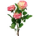 Floristik24 Deco rožė rožinė Ø10cm 52cm 3vnt