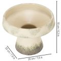 Dekoratyvinis keraminis dubuo, kreminės pilkai žalios spalvos, Ø20 cm, aukštis16 cm | Floristik24.lt