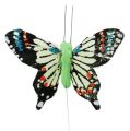 Floristik24 Dekoratyviniai drugeliai, asorti 6cm, 24vnt