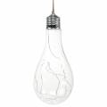 Floristik24 Dekoratyvinė LED lemputė šiltai balta 20cm