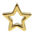 Floristik24 Deco star gold 6,5cm 6vnt