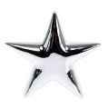 Floristik24 Deco star silver stovi 12cm 2vnt