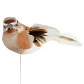 Floristik24 Dekoratyvinis paukštis klijuoti rudas 10cm 12vnt