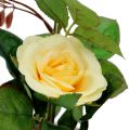 Floristik24 Dekoratyvinė rožė vazone geltona 23cm