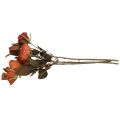 Floristik24 Deco rožių puokštė dirbtinių gėlių rožių puokštė oranžinė 45cm 3vnt