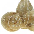 Floristik24 Mediniai margučiai, dekoratyviniai margučiai, velykiniai margučiai iš mango medienos 8×5cm 6vnt