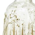 Floristik24 Dekoratyvinė stiklo vaza su tikro gipsofilio dekoru Ø9,5cm H18cm