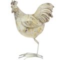 Floristik24 Dekoratyvinės vištienos White Gold Rooster Hen Vintage L13cm 2vnt