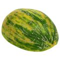 Floristik24 Dekoratyvinis lipčiaus melionas perpjautas oranžinis, žalias 13cm
