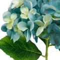 Dekoratyvinė hortenzijos mėlyna dirbtinė gėlė Dirbtinė sodo gėlė H35cm