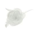 Floristik24 Dekoratyvinė rožė su plunksnomis ant segtuko balta 2vnt