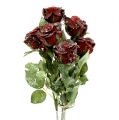 Floristik24 Deco rožė snieguota raudona Ø6cm 6vnt